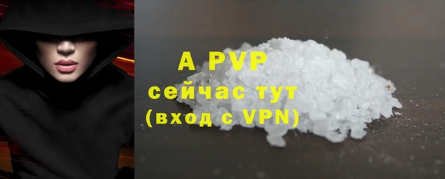 эйфоретик Осинники