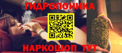 ECSTASY Бийск