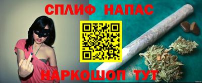 ECSTASY Бийск