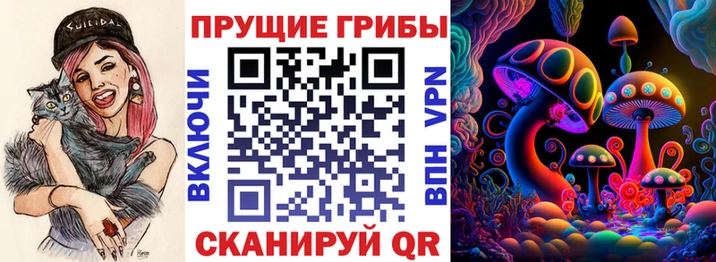 где можно купить наркотик  Грязи  Псилоцибиновые грибы прущие грибы 