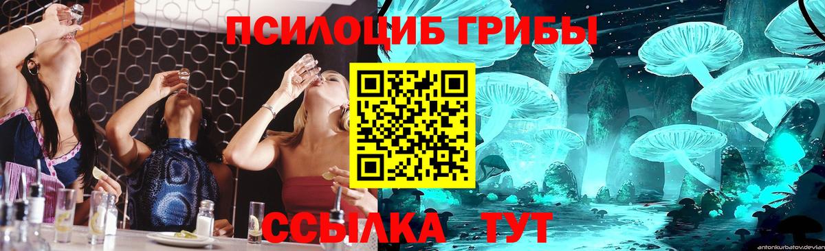 купить наркоту  Грязи  Галлюциногенные грибы MAGIC MUSHROOMS 